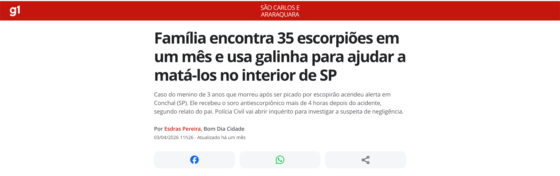 Família encontra 35 escorpiões em um mês no interior de SP