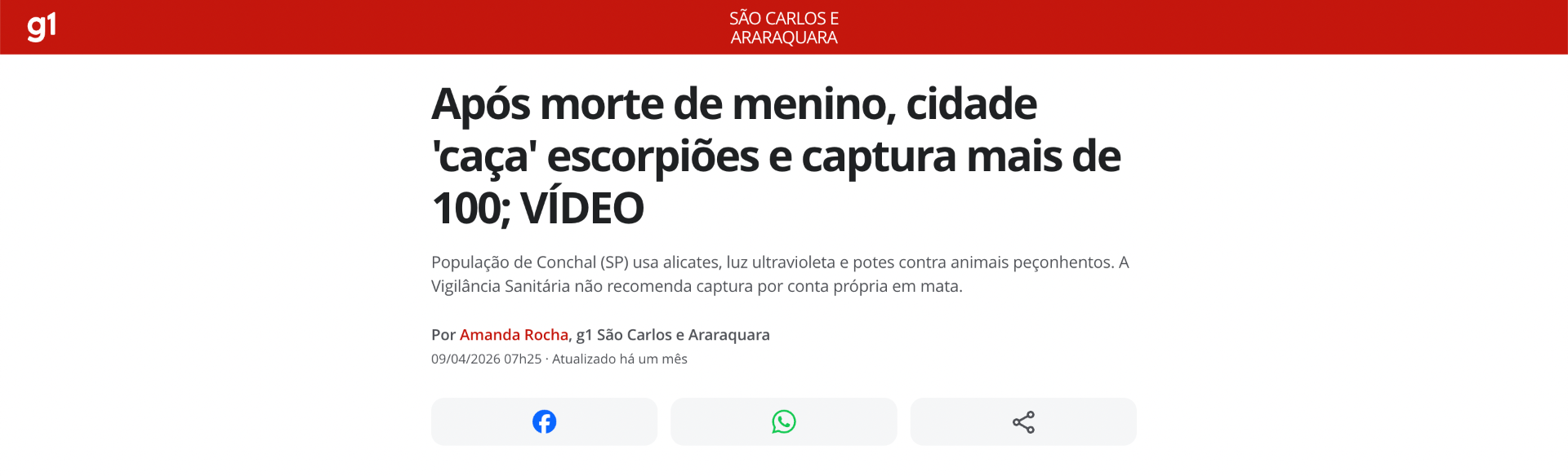 Cidade 'caça' escorpiões e captura mais de 100 após morte de menino