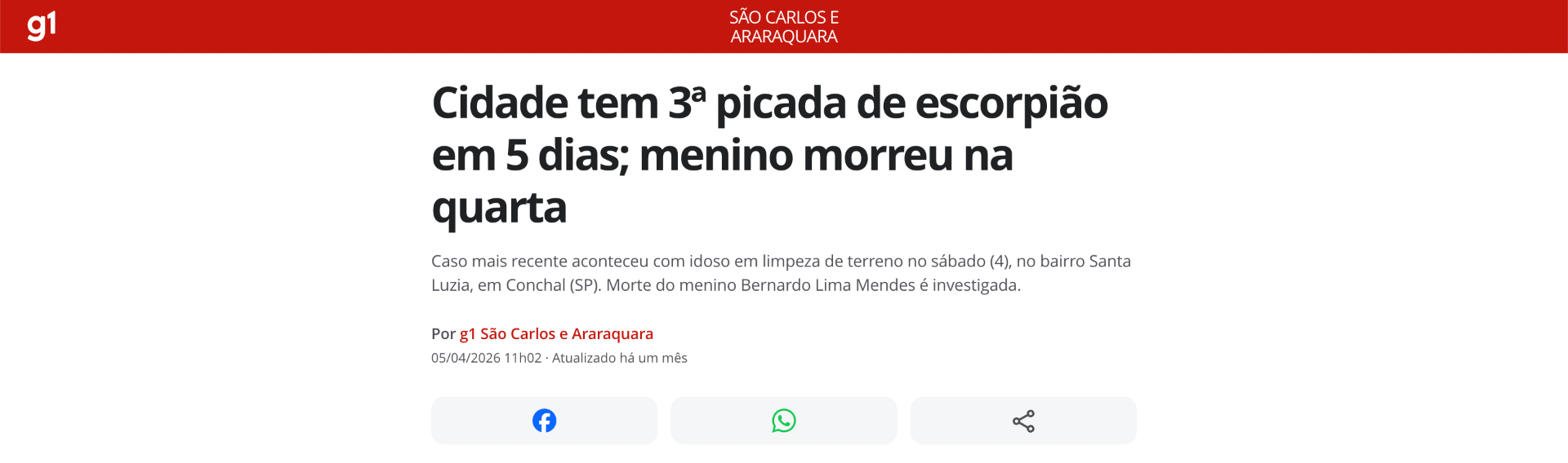 Cidade tem 3ª picada de escorpião em 5 dias; menino morreu na quarta